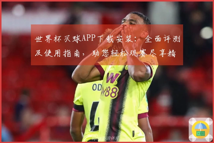 世界杯买球APP下载安装：全面评测及使用指南，助您轻松观赛尽享精彩
