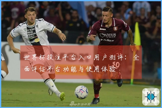 世界杯投注平台入口用户测评：全面评估平台功能与使用体验