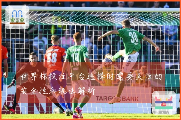 世界杯投注平台选择时需要关注的安全性和玩法解析
