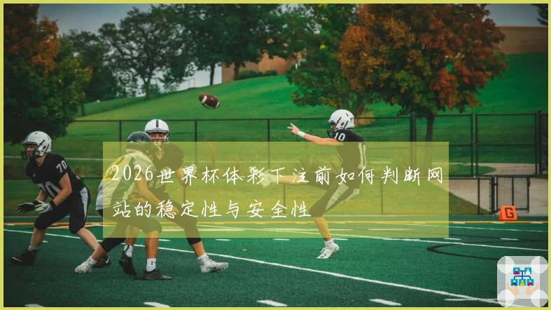 2026世界杯体彩下注前如何判断网站的稳定性与安全性