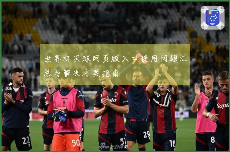 世界杯买球网页版入口使用问题汇总与解决方案指南