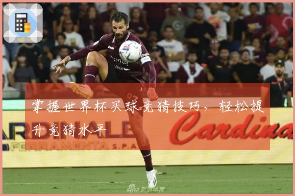 掌握世界杯买球竞猜技巧，轻松提升竞猜水平