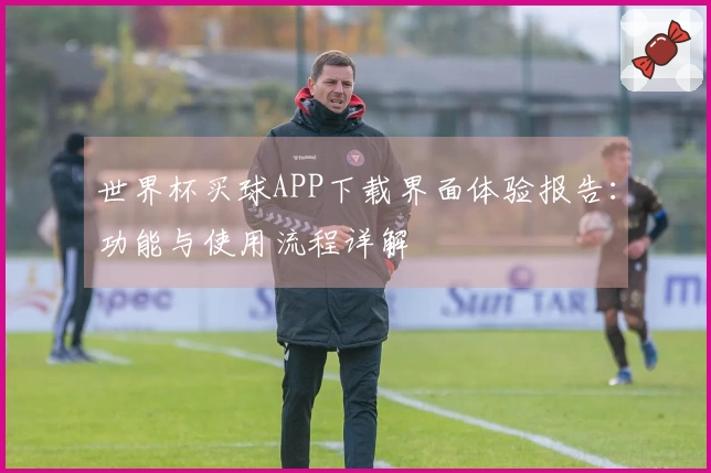 世界杯买球APP下载界面体验报告：功能与使用流程详解