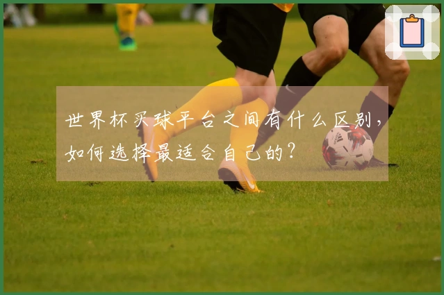 世界杯买球平台之间有什么区别，如何选择最适合自己的？