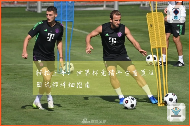 轻松上手：世界杯竞猜平台首页注册流程详细指南