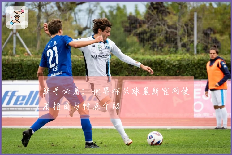 新手必看：世界杯买球最新官网使用指南与特点介绍