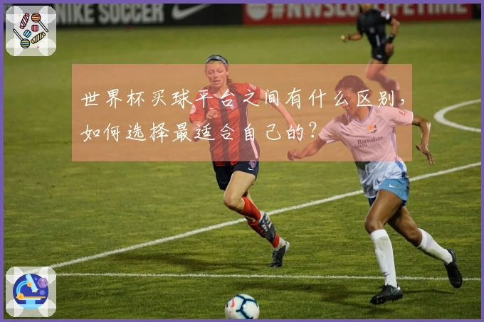 世界杯买球平台之间有什么区别，如何选择最适合自己的？