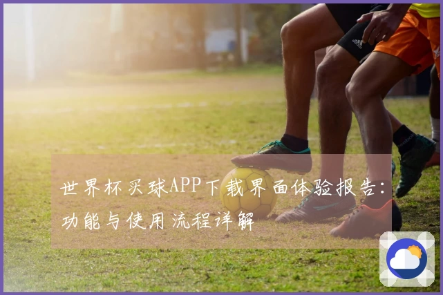 世界杯买球APP下载界面体验报告:功能与使用流程详解